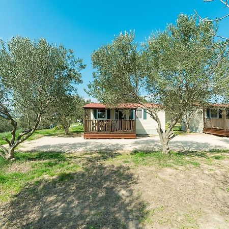 Mobile Homes Plava Laguna 파코스탄 외부 사진